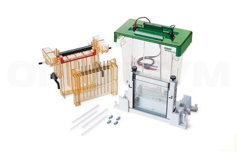 Bio-Rad Аппарат для ИЭФ Protean II xi 2D Cell