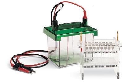 Bio-Rad Камера Mini-PROTEAN Tube Cell