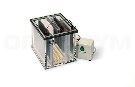Bio-Rad Электрофоретическая вертикальная камера Protean Plus Dodeca cell