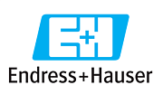 Endress+Hauser
